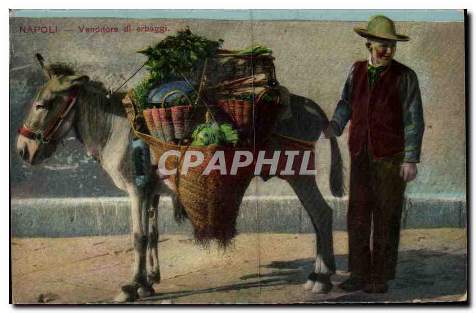 CPA Italie Italia Napoli Vanditore i erbaggi Ane donkey mule