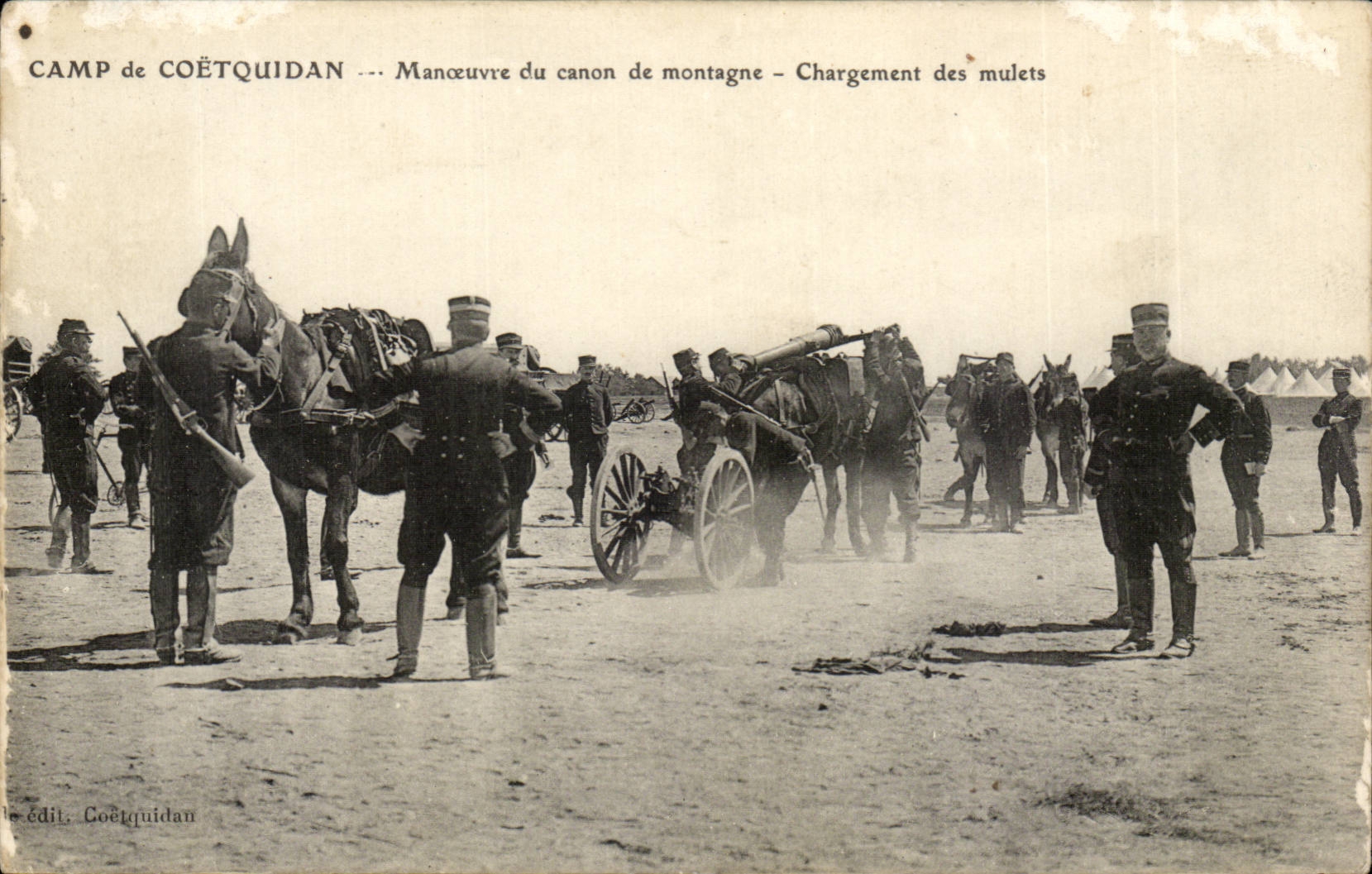 CPA Camp de Coetquidan Manoeuvre de canon en montagne Chargement des mulets Ane donkey