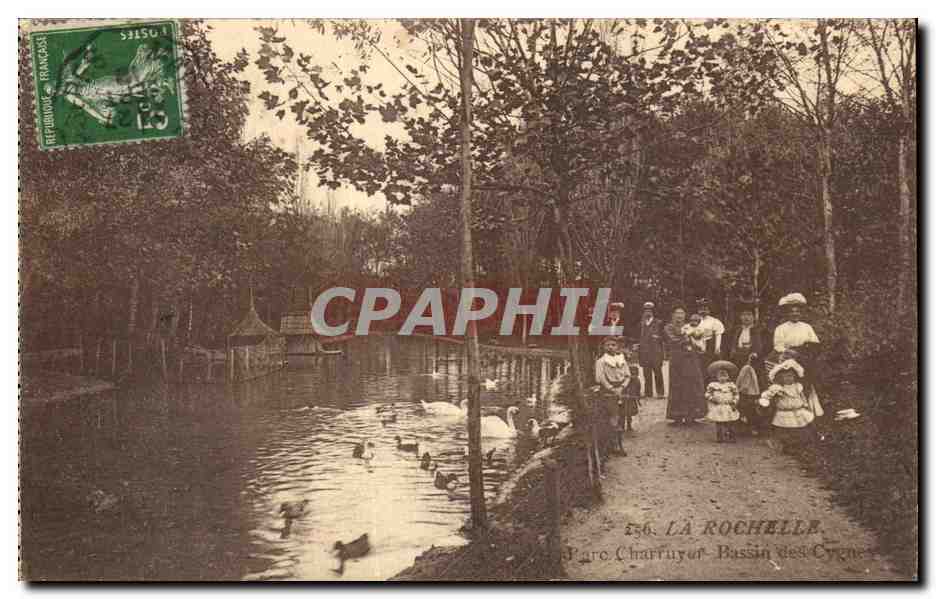 CPA La Rochelle Parc Charruyer Bassin des cygnes