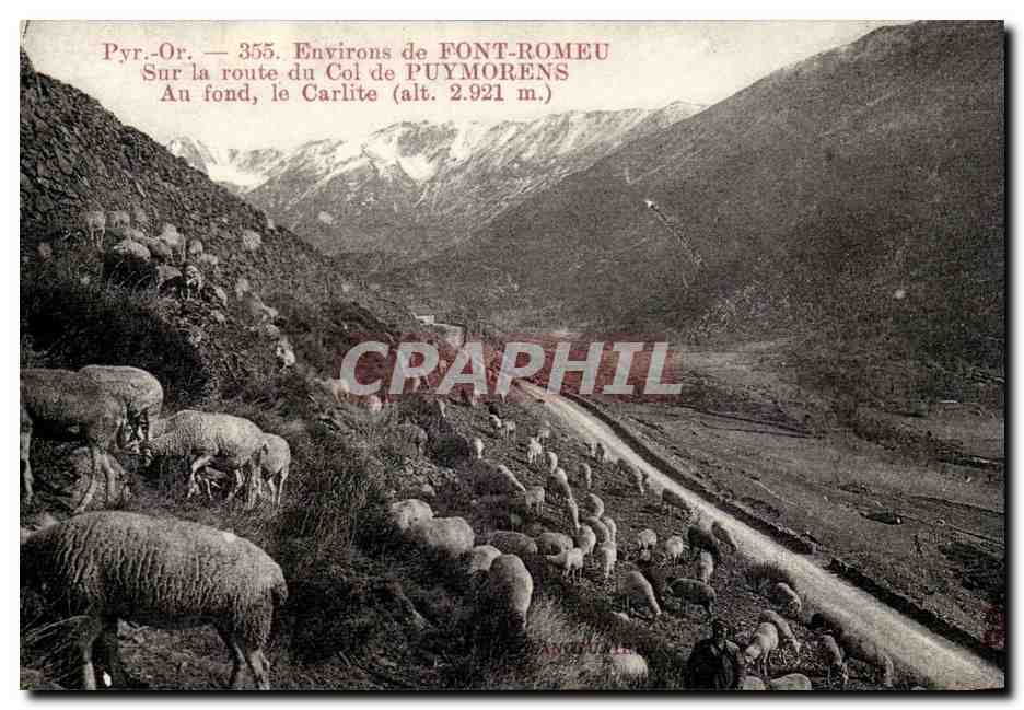 CPA Environs de Font Romeu Sur la route du col de Puymorens