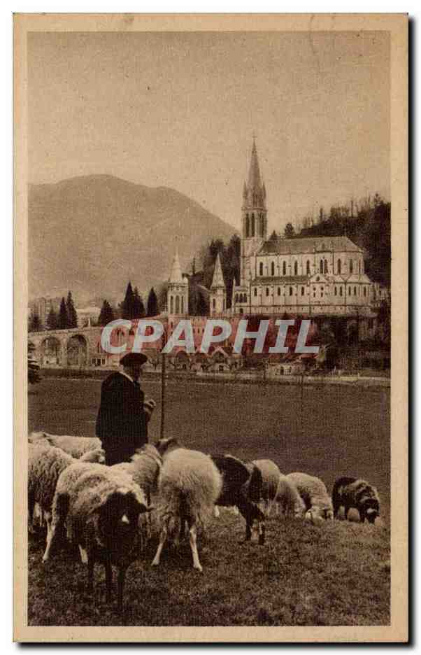 CPA Lourdes La basilique Moutons Sheep