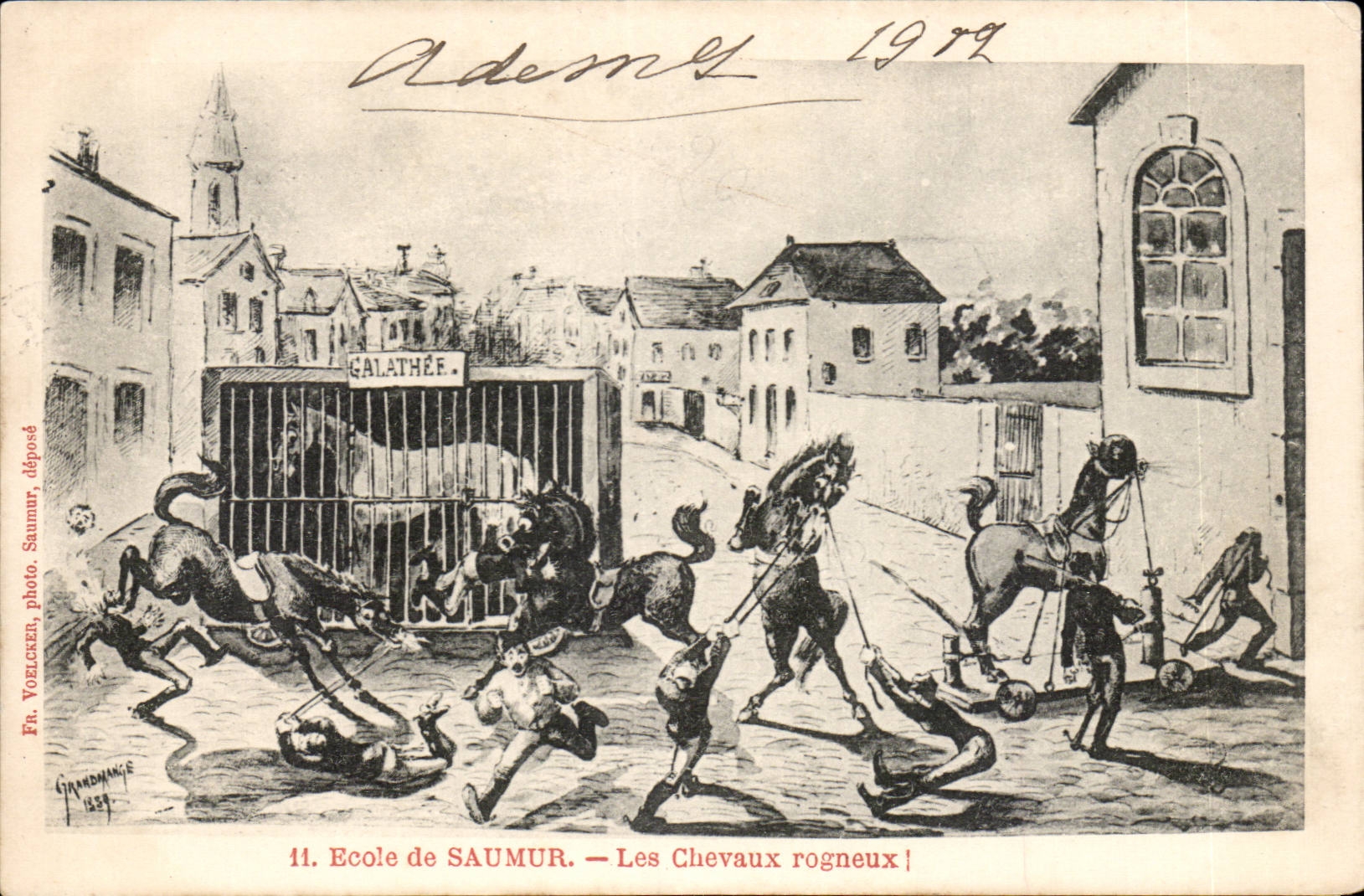 Ecole de Saumur CPA Les chevaux rogneux ( cheval horse )