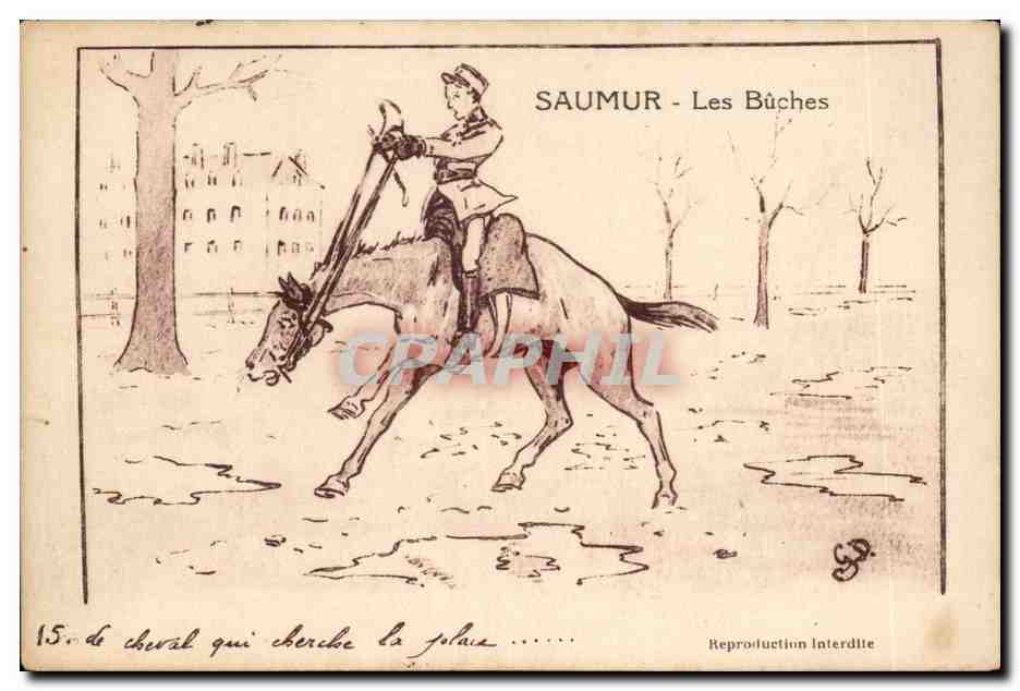 CPA Saumur Les buches Horse Cheval