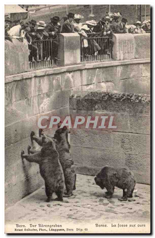 CPA Berne La fosse aux ours bear Suisse