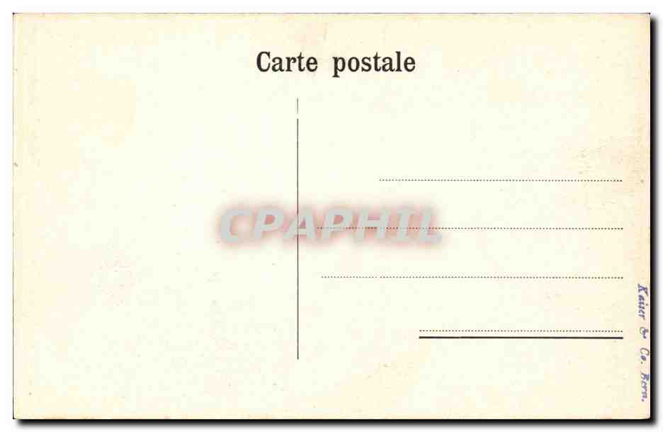 CPA Berne La fosse aux ours bear Suisse — Rückseite