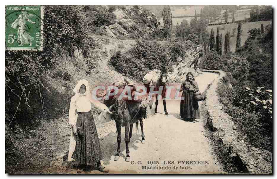 CPA Pyrenees Marchande de bois ( Ane donkey mule Metier ) TOP