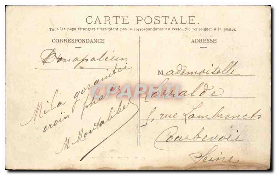 CPA Pyrenees Marchande de bois ( Ane donkey mule Metier ) TOP — Rückseite