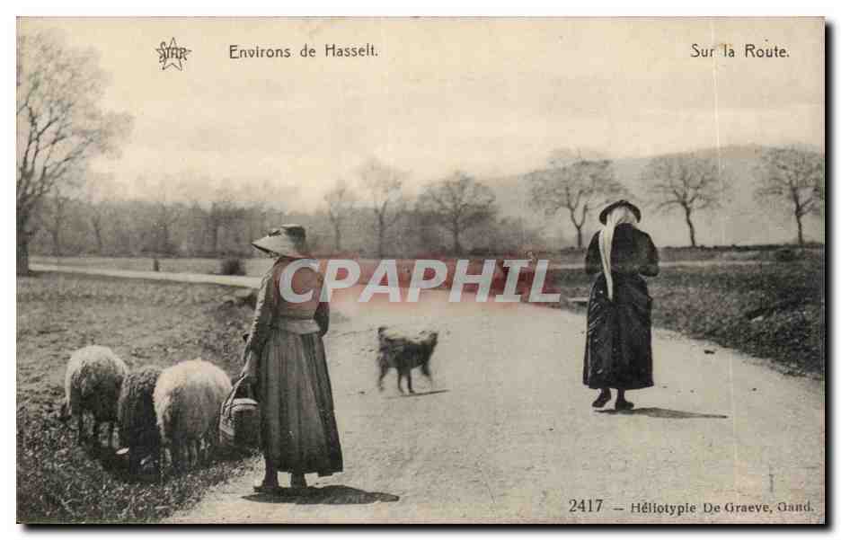 CPA Environs de Hasselt Sur la route Femmes et moutons Folklore