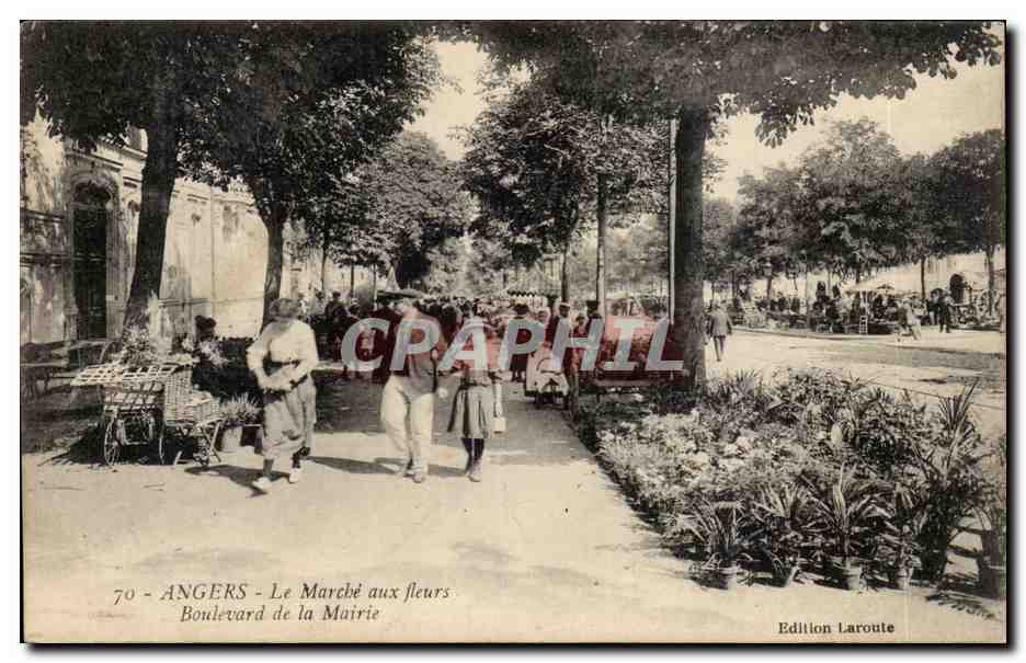 CPA Angers Le marche aux fleurs Boulevard de la mairie TOP