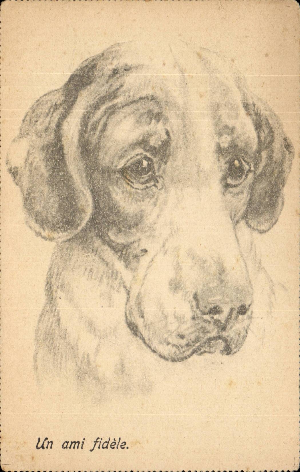 CPA Fantaisie Chien dog un ami fidele