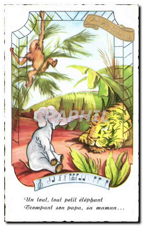 CPA Fantaisie Elephant Singe Lion Tigre Ste CAtherine