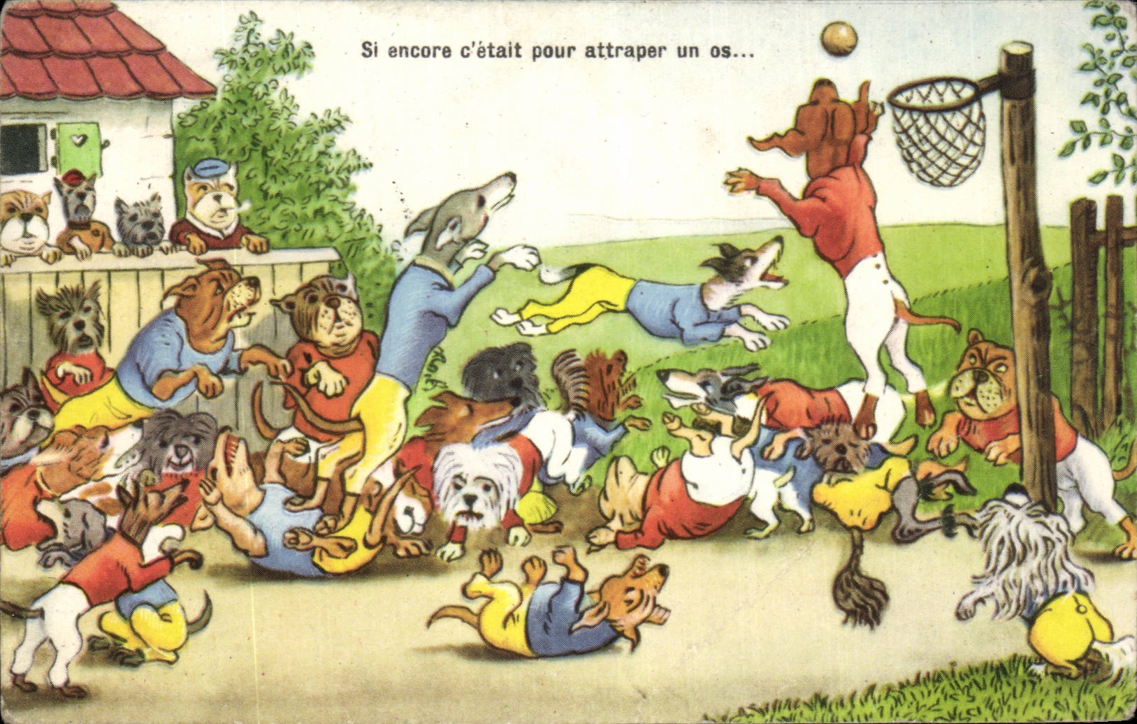 Chiens en tenue de sport — jeu de basket — éditeur Paris