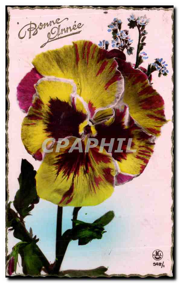 CPA Fantaisie Fleurs Bonne annee