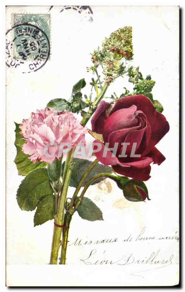 CPA Fantaisie Fleurs Rose