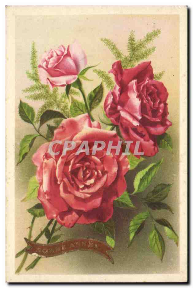 CPA Fantaisie Fleurs Roses
