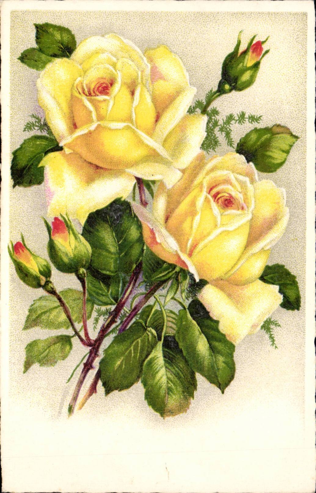 CPA Fantaisie Fleurs Rose