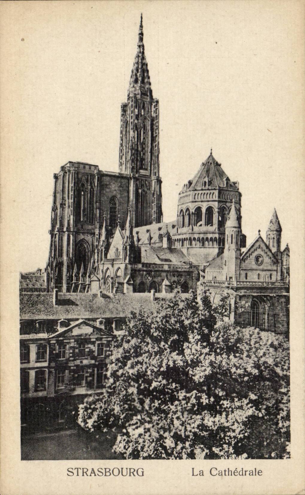 CPA Strasbourg La cathedrale 