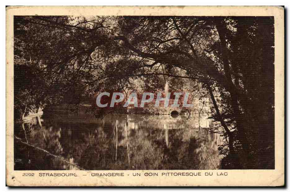 CPA Strasbourg Orangerie Un coin pittoresque du lac
