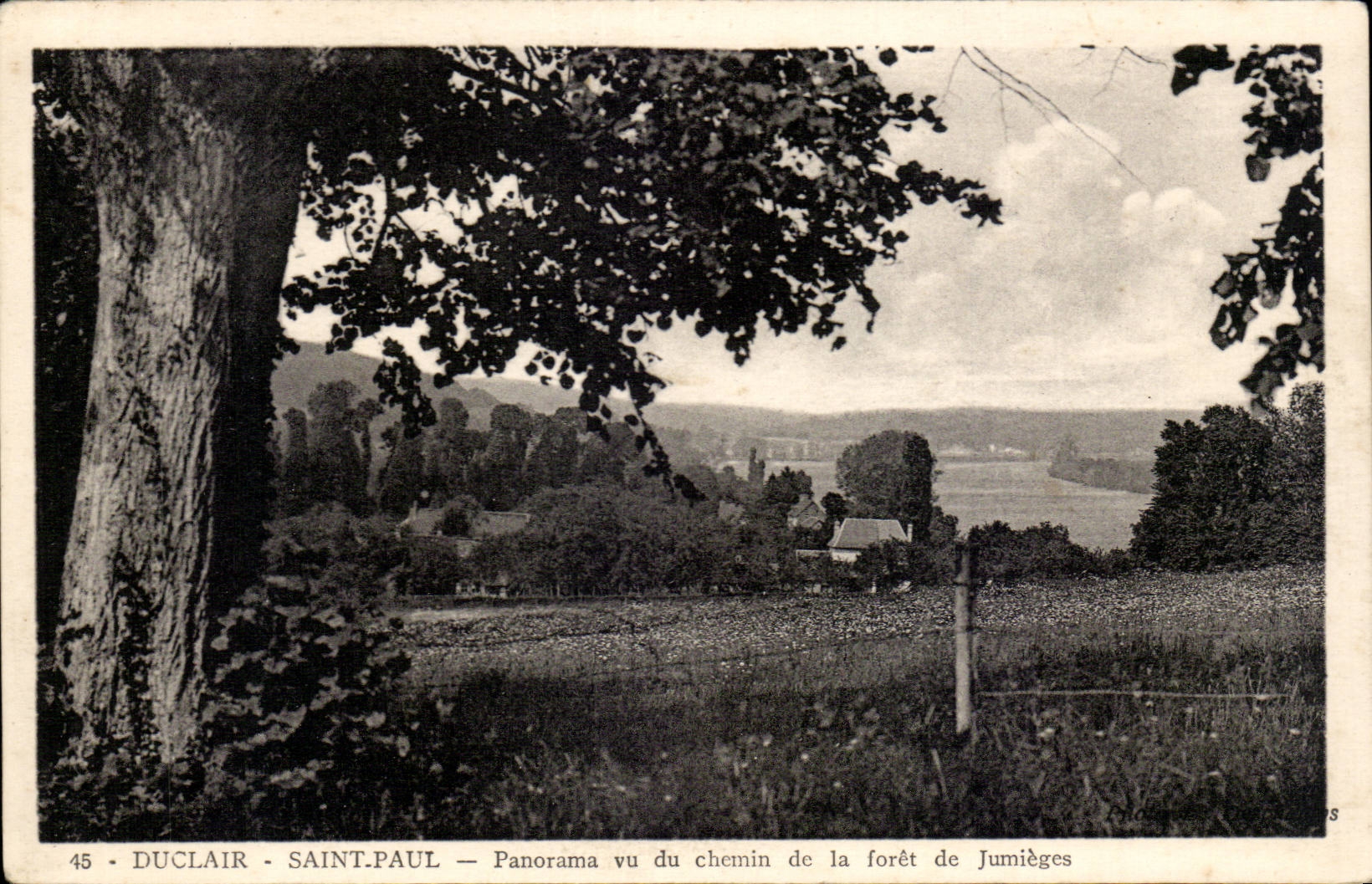 CPA Duclair Saint Paul Panorama vu du chemin de la foret de Jumieges