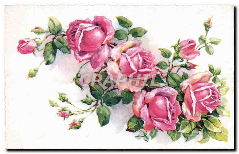 CPA Fantaisie Fleurs Roses
