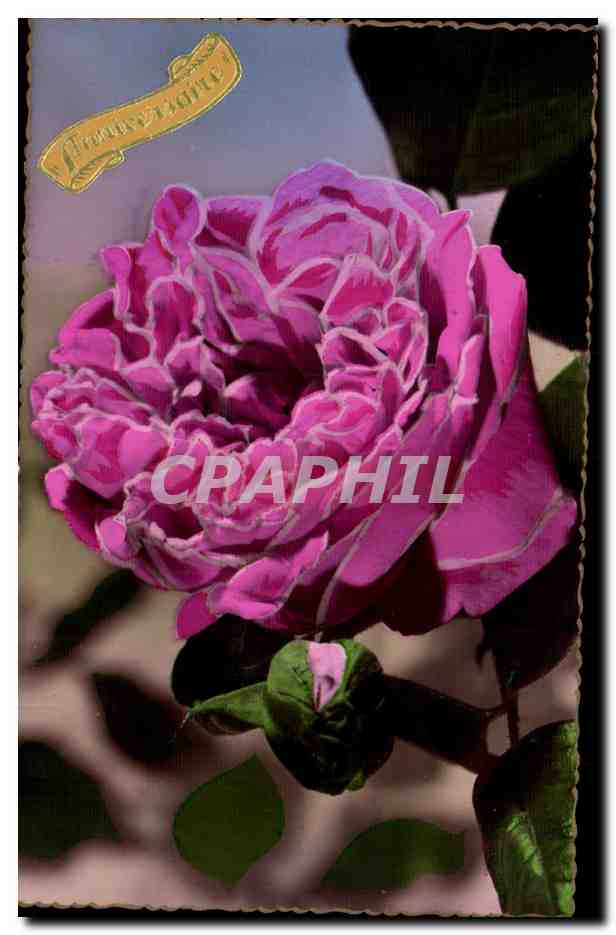 CPA Fantaisie Fleurs Anniversaire