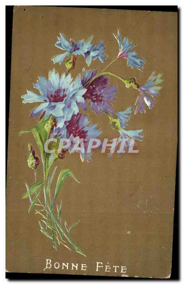 CPA Fantaisie Fleurs Bonne fete