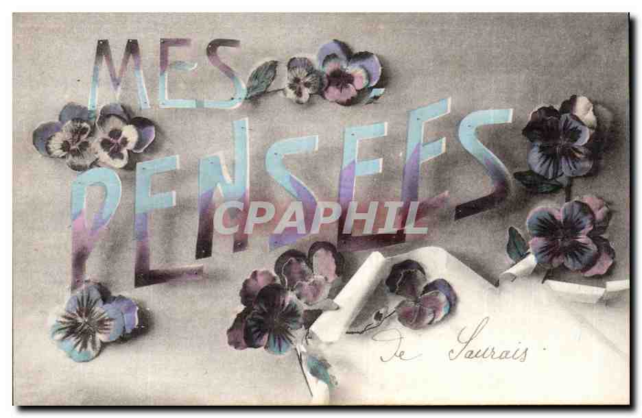 CPA Fantaisie Fleurs Mes pensees