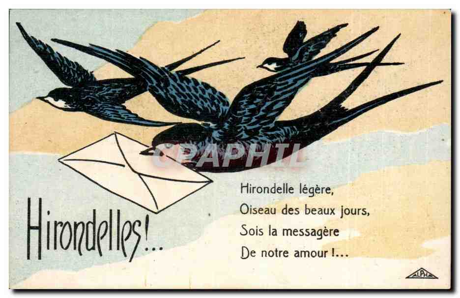 CPA Fantaisie Hirondelles 