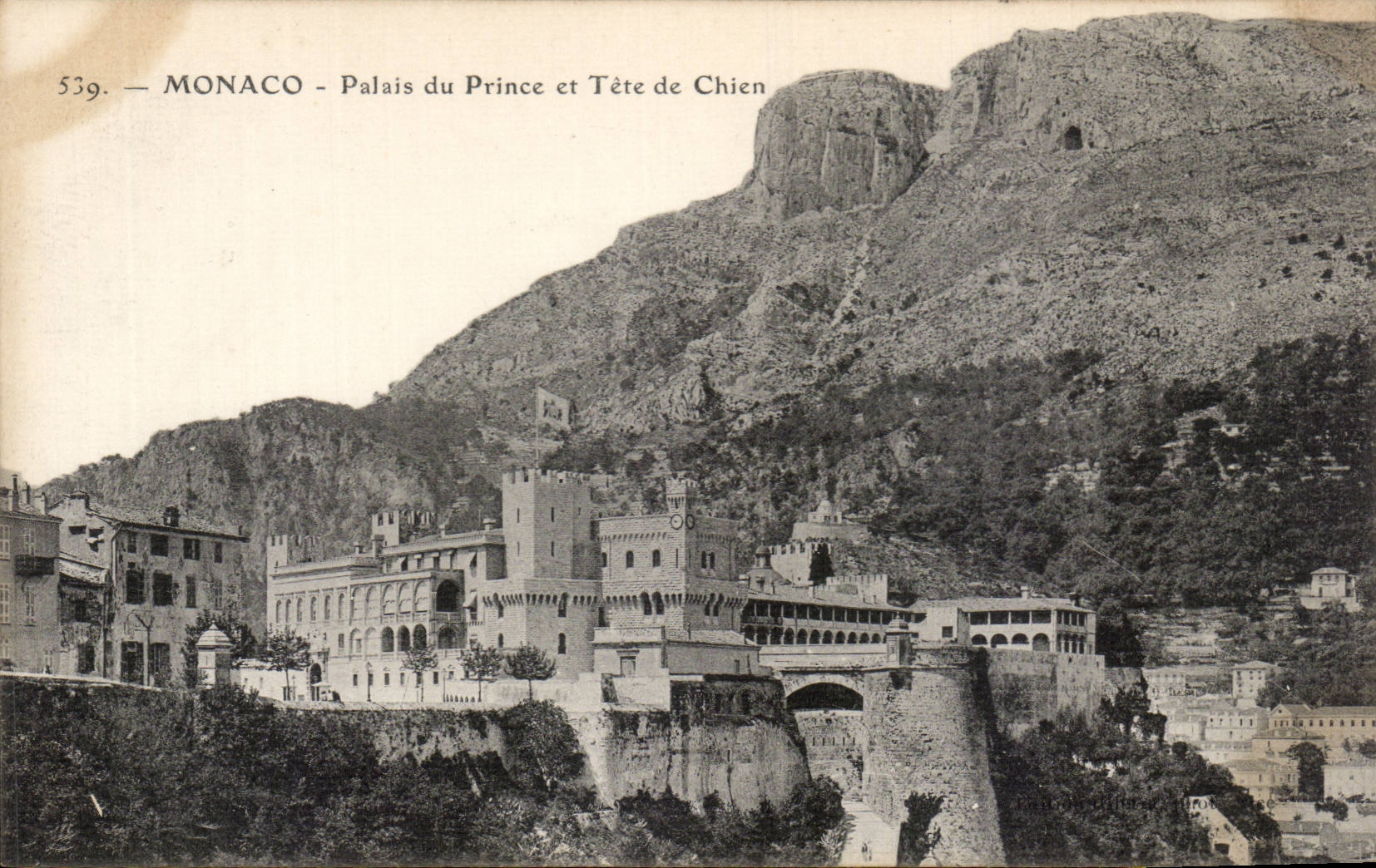 CPA Monaco Monte Carlo Palais du prince et tete de chien