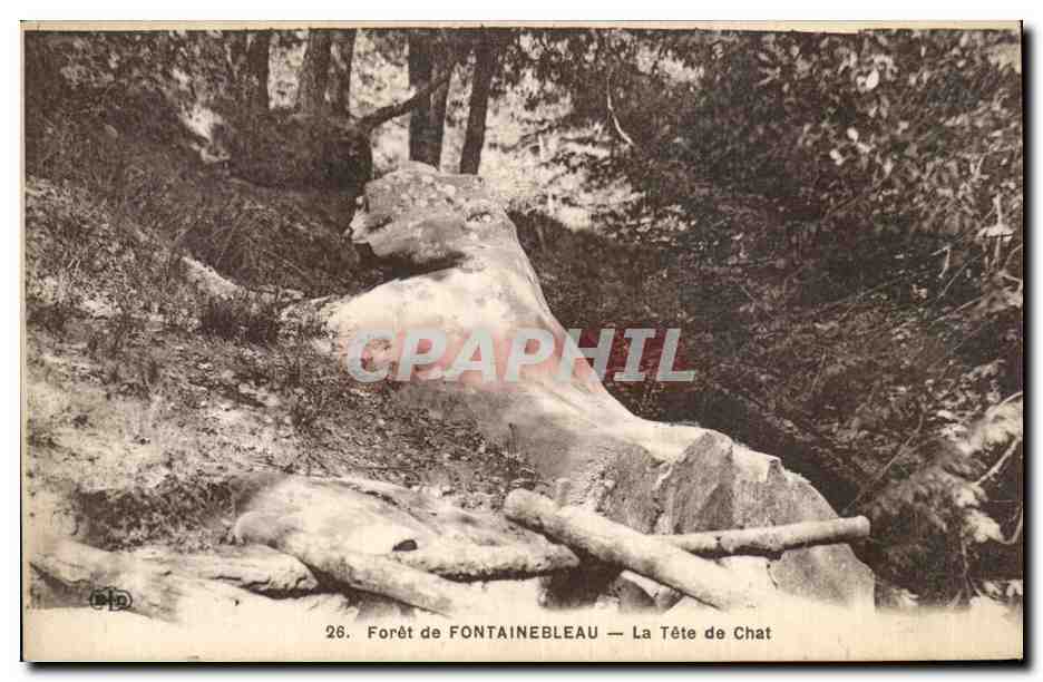 Foresta di FONTAINEBLEAU — La Testa del Gatto — editore B.P.D. n°26