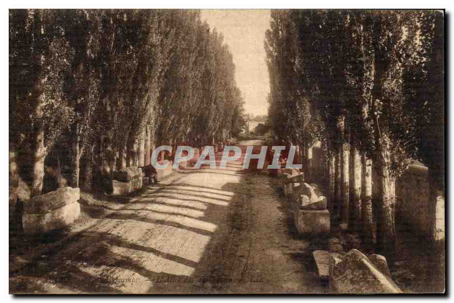 Arles — Les Alyscamps — L'Allée des Tombeaux