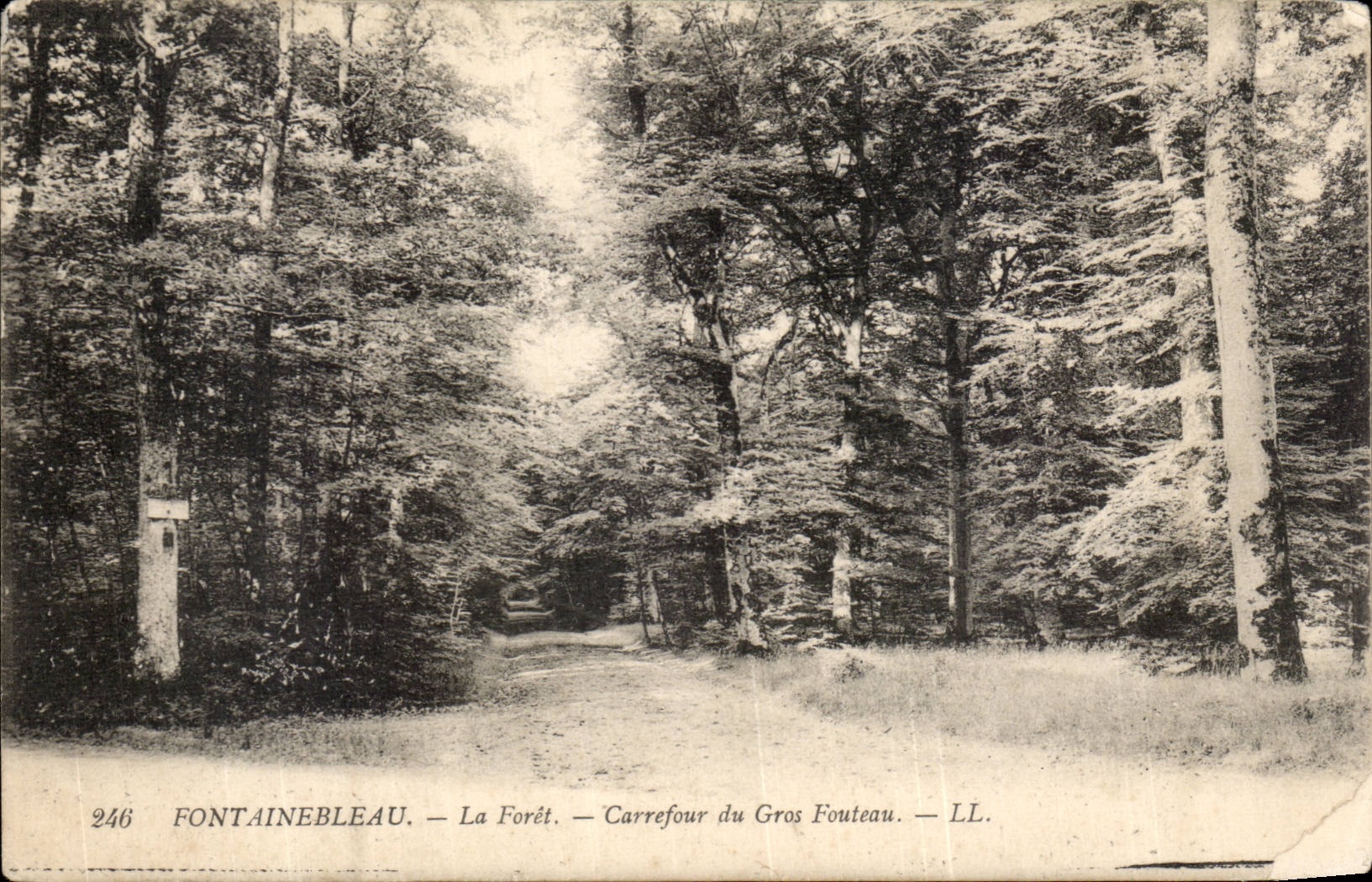 Fontainebleau — La Forêt — Carrefour du Gros Fouteau — LL.