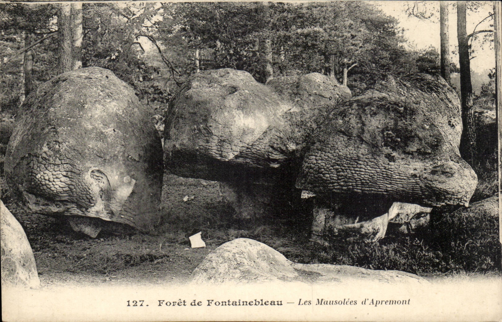Forêt de Fontainebleau — Die Mausolées von Apremont — n° 127