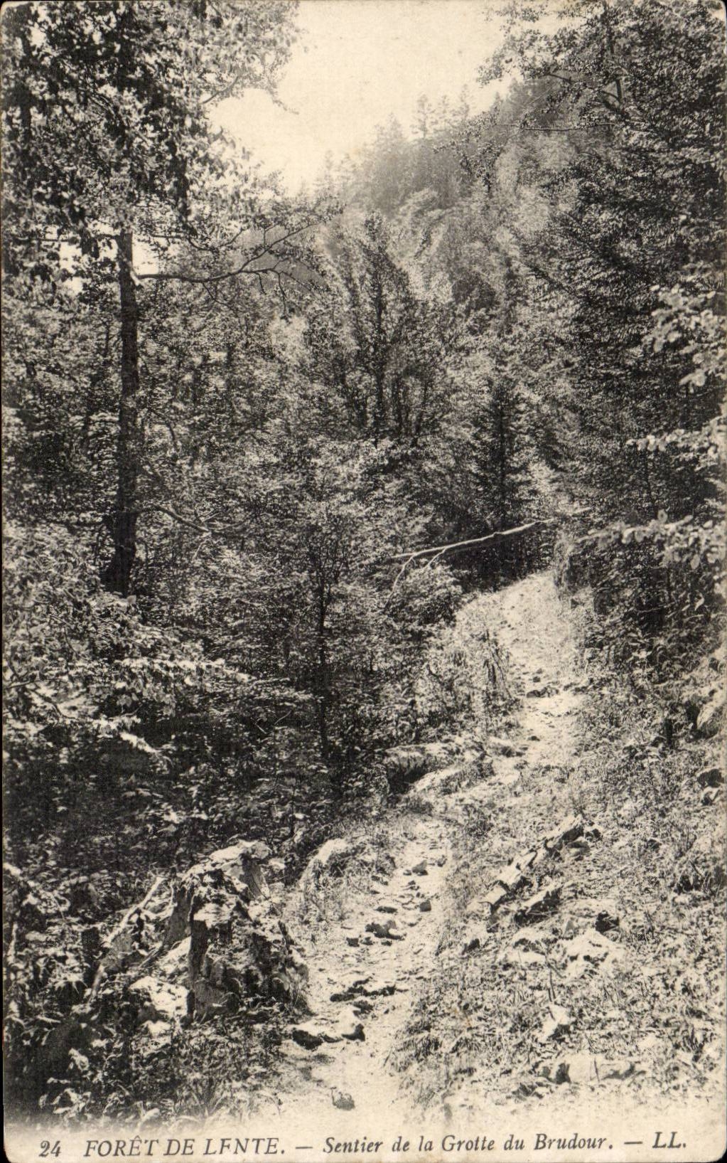 Forêt de Lfnte — Sentier de la Grotte du Brudour — LL