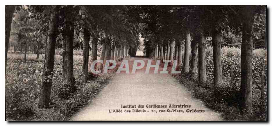 CPA Orleans Institut des gardiennes adoratrices L'allee des tilleuls 20 rue St Marc
