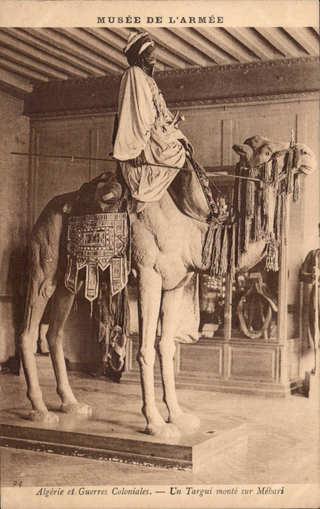 CPA Algerie et guerres coloniales Un Targui monte sur mehari ( camel ) Musee de l'armee Paris Militaria