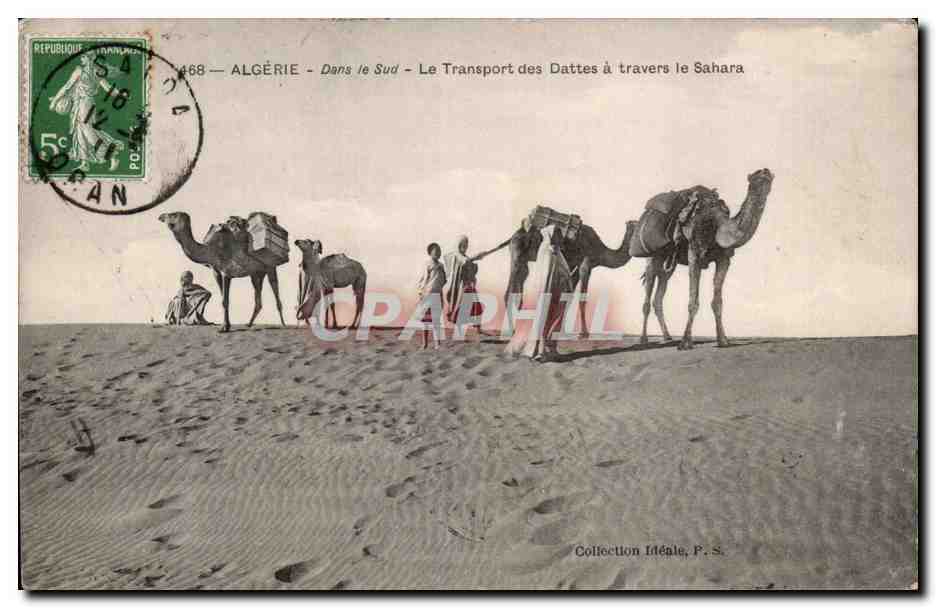 Algérie - Dans le Sud - Le Transport des Dattes à travers le Sahara — Collection Idéale, P. S.
