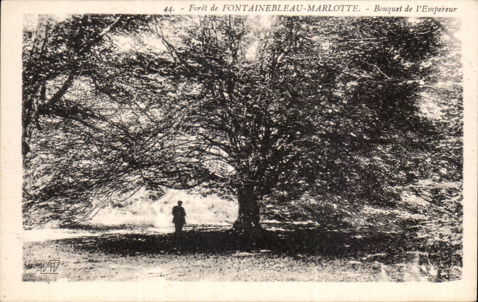 Bosque de Fontainebleau-Marlotte — Bouquet de l'Empereur — Editor F. David, Versalles