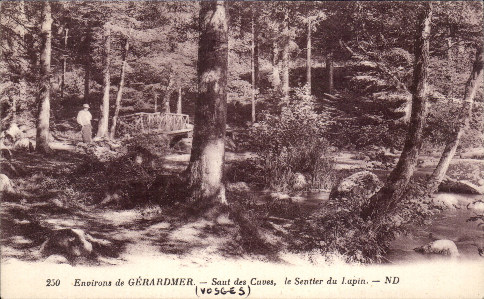 Umgebung von GÉRARDMER — Saut des Cuves, der Hasenpfad — ND (VOSGES)