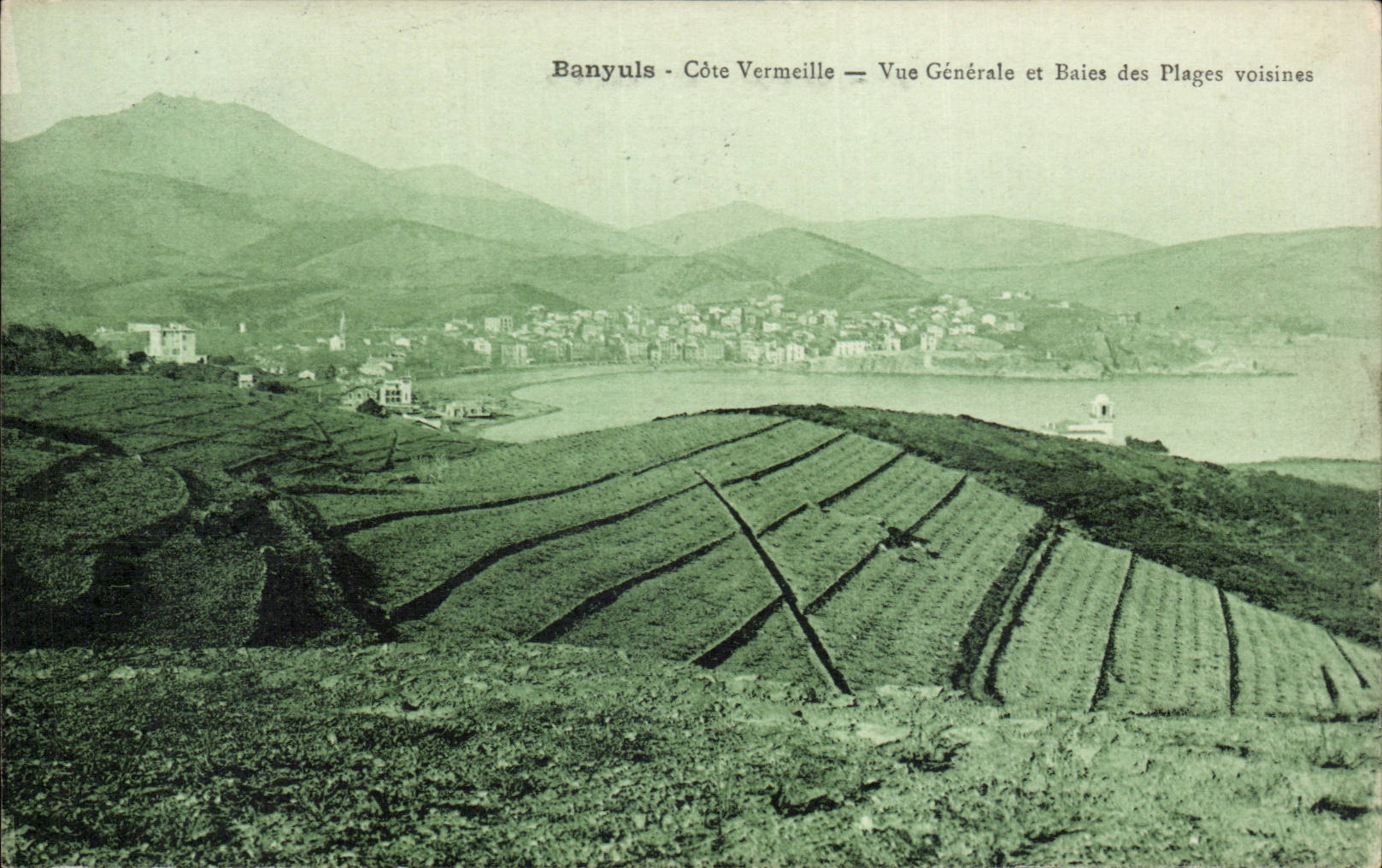 CPA Banyuls Cote VErmeille Vue generale et baies des plages voisines