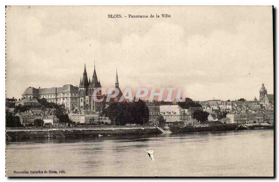 CPA Blois Panorama de la ville