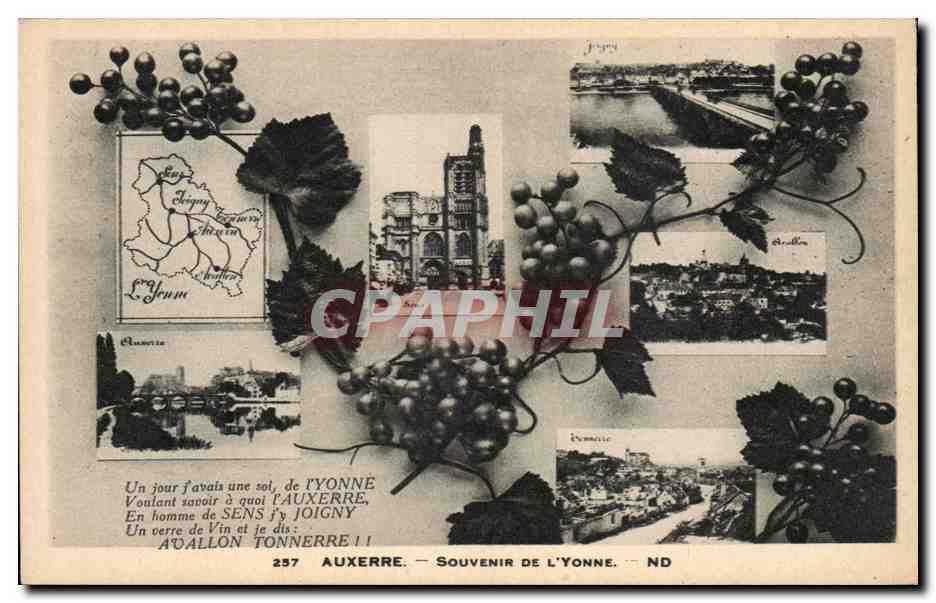 CPA Auxerre Souvenir de l'Yonne