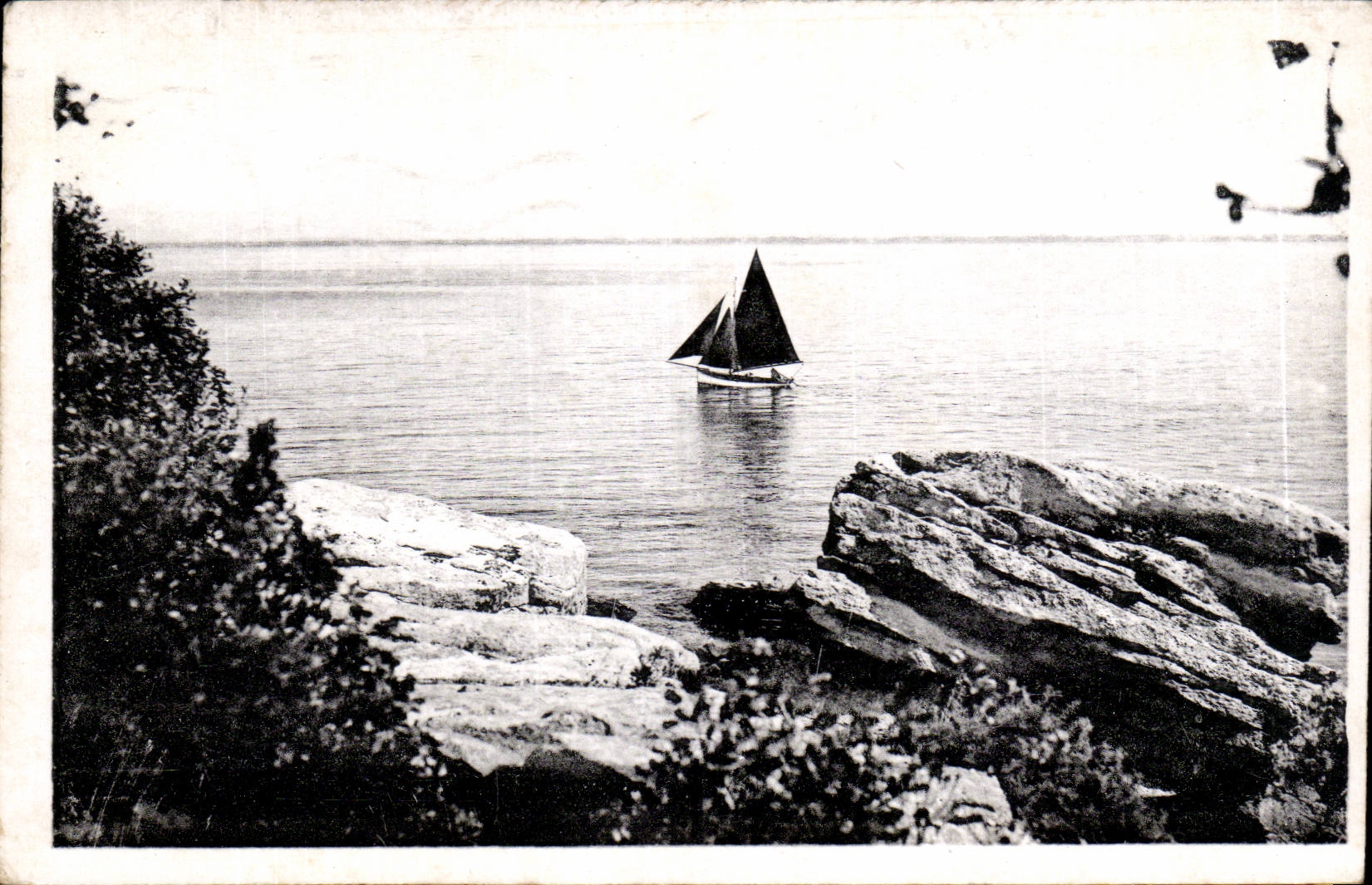CPSM Ile de Noirmoutier Une belle echappee sur lamer au bois de la Chaize