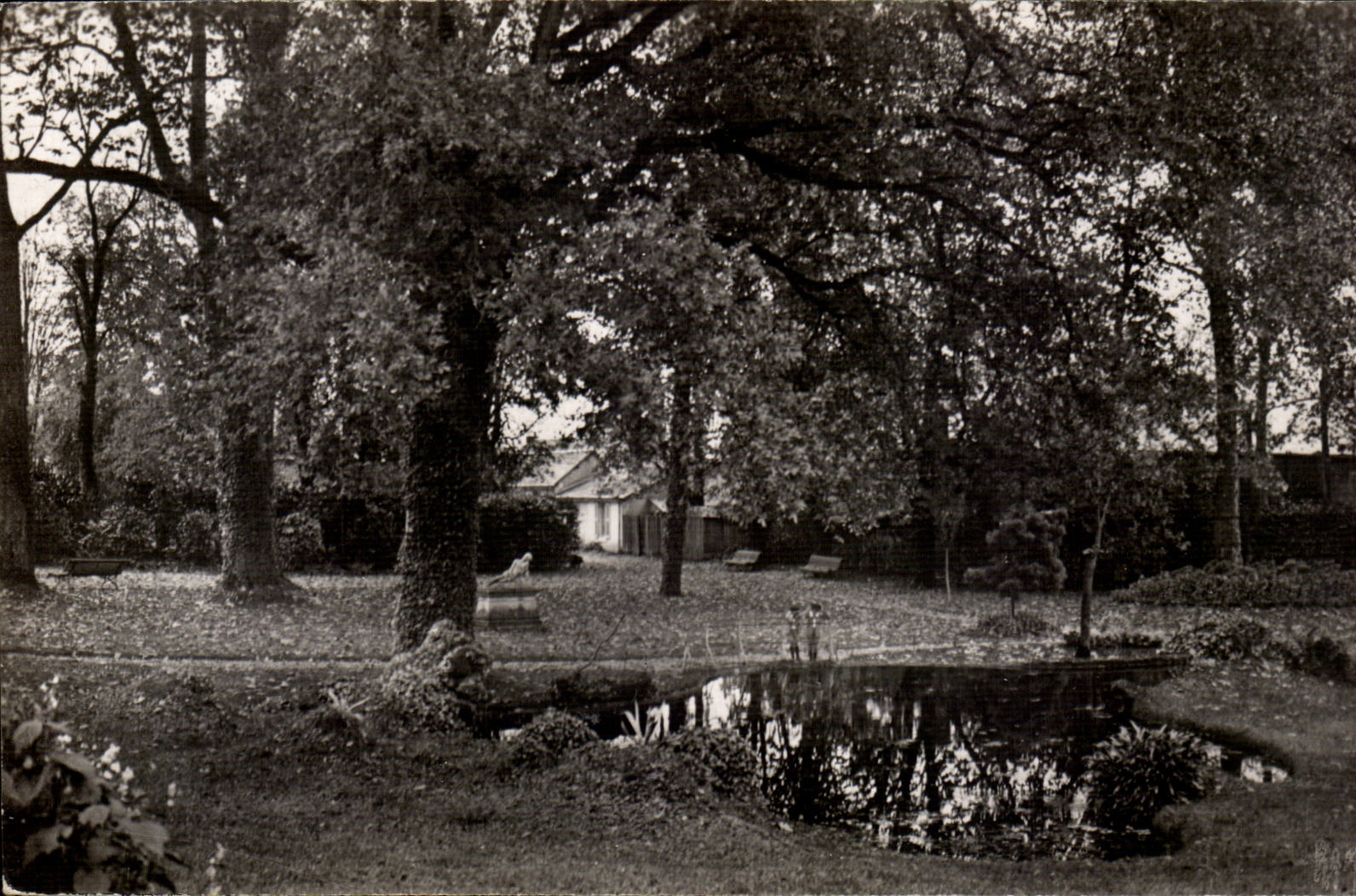CPSM Fontenay le Comte Parc de l'hotel de ville