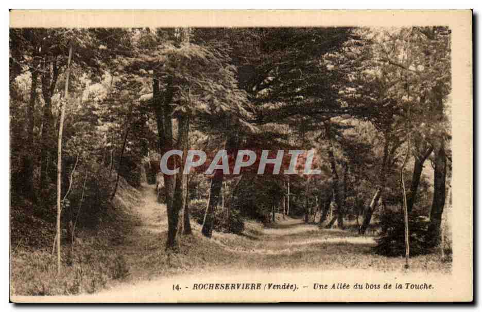 CPA Rocheserviere Une allee du bois de la Touche