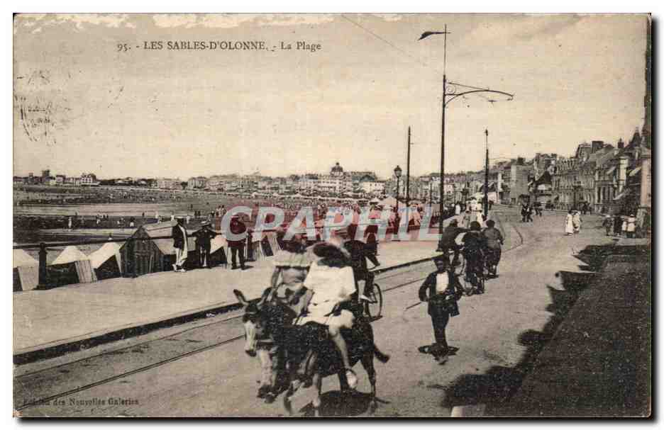 Les Sables d'olonne CPA La plage Ane Donkey Mule