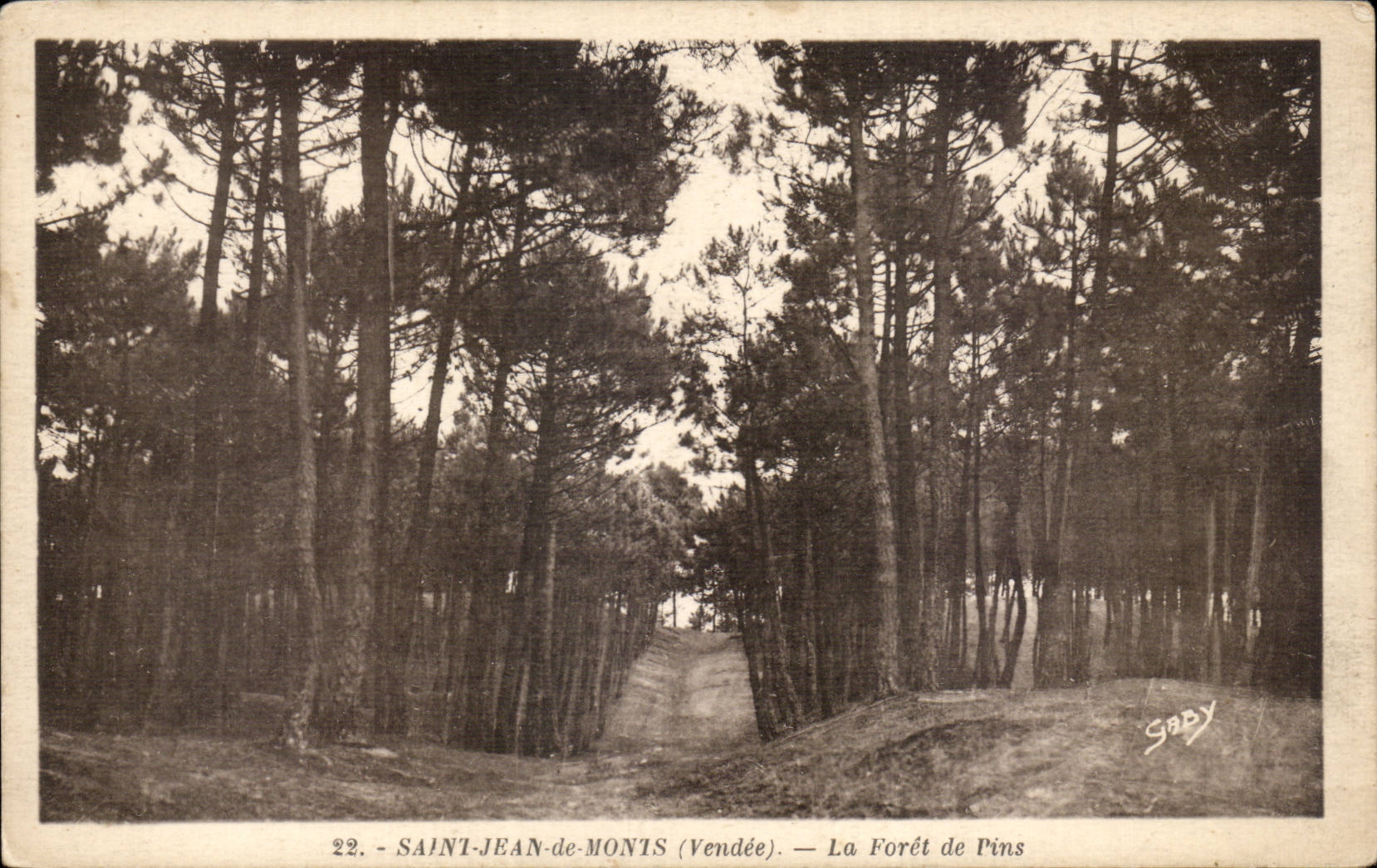Saint-Jean-de-Monis (Vendée) — The Pine Forest — Gaby