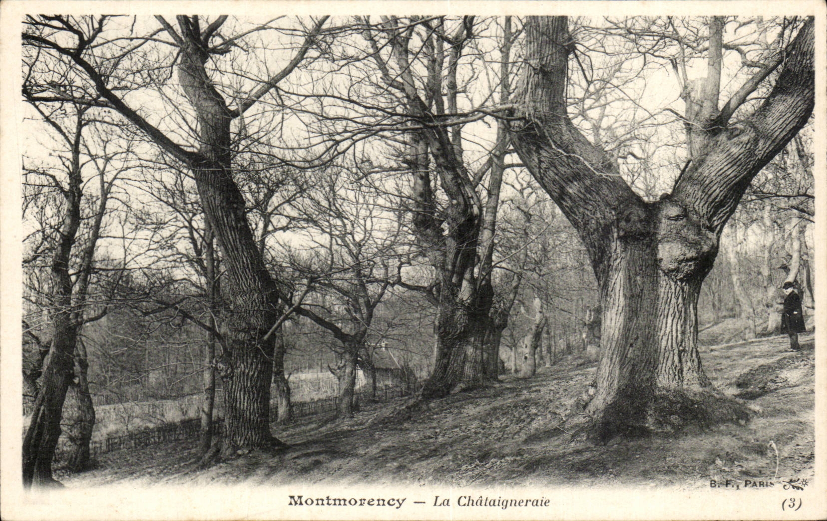 Montmorency — La Châtaigneraie — B.F. Paris (3)