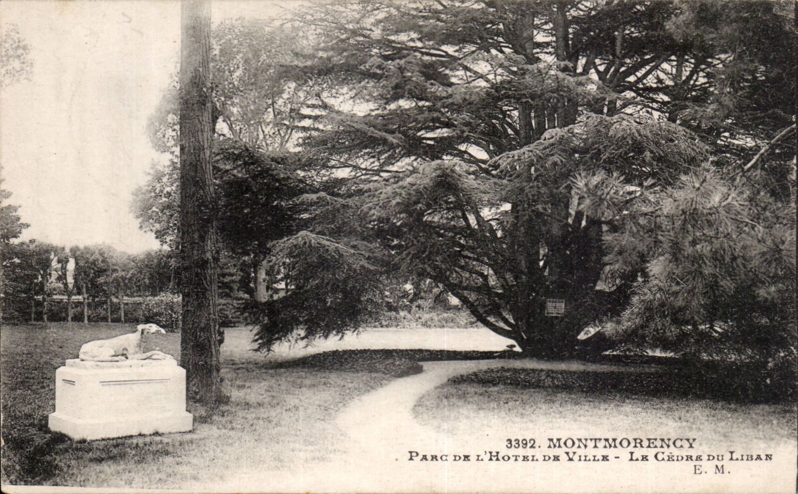 Montmorency — Parc de l'Hôtel de Ville — Le Cèdre du Liban — E.M. n°3392