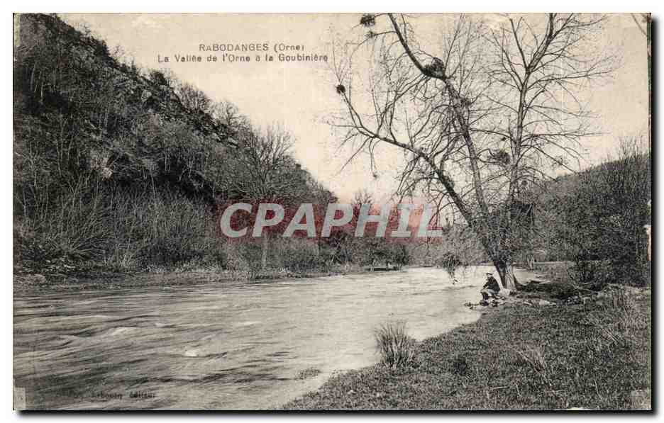 CPA Radodanges La vallee de l'orne a la Goubiniere